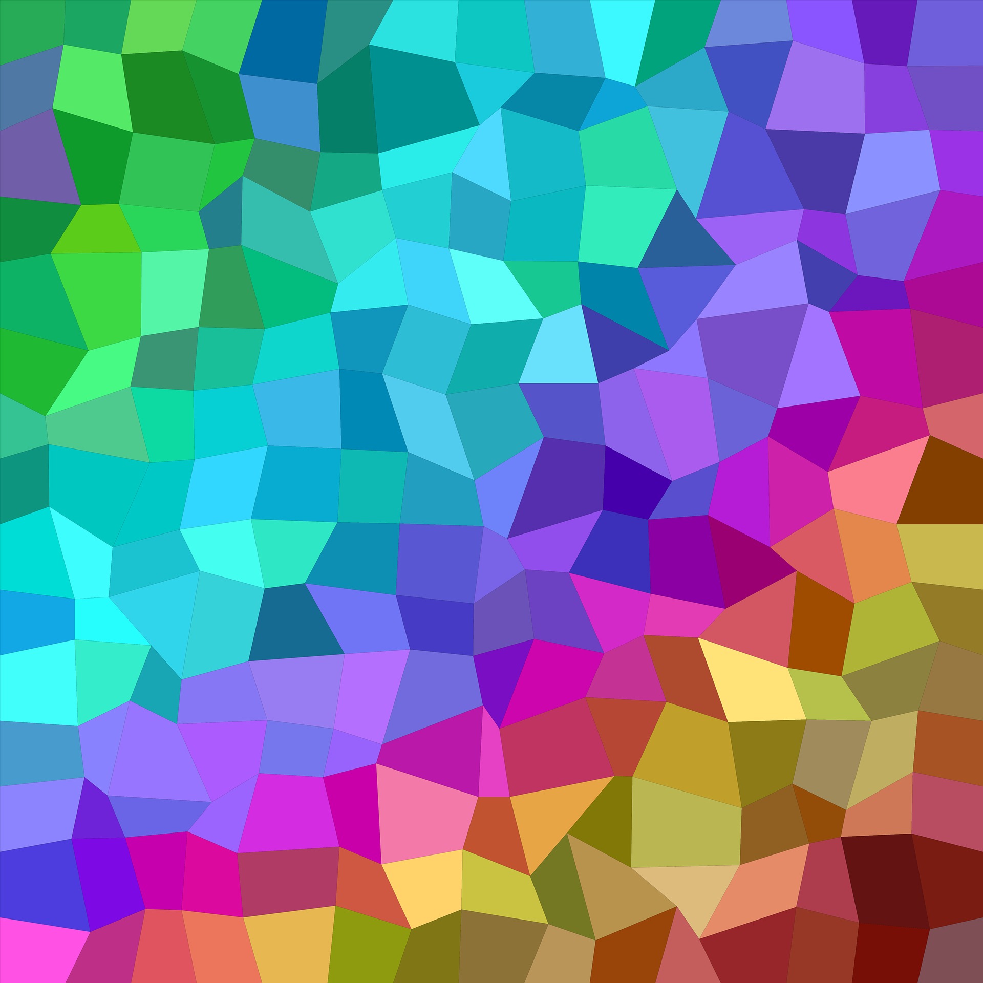 Diversity & inclusion fellowship