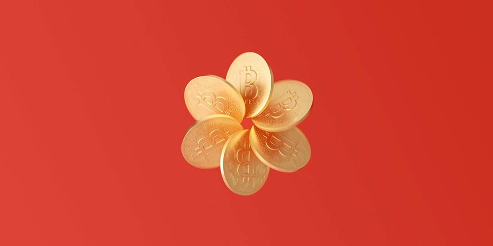 Bitcoin used to purchase an NFT